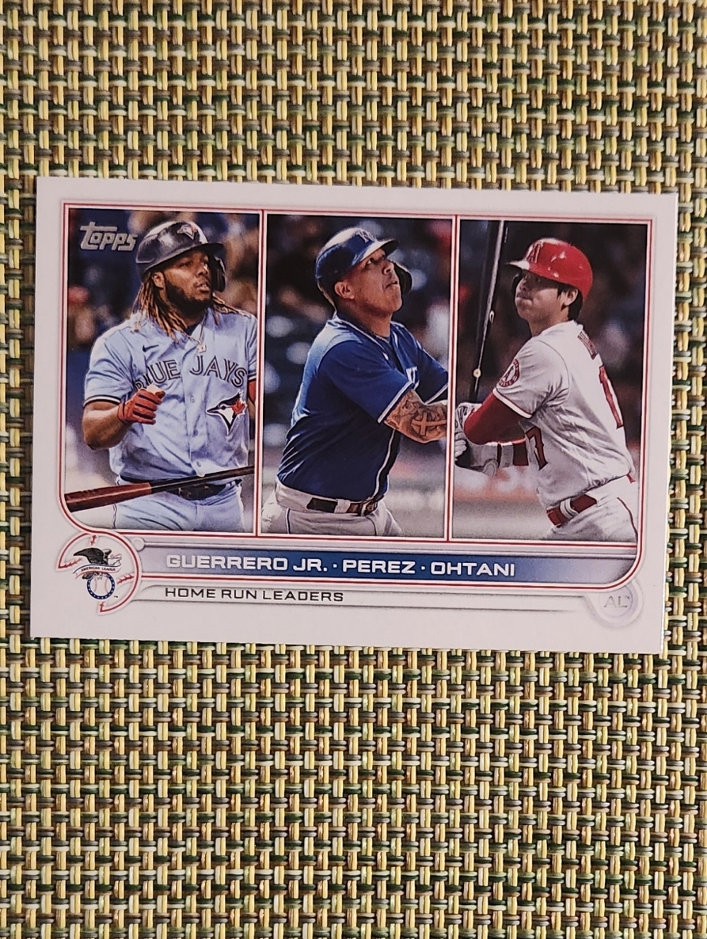 Topps 2021 Home Run Leaders Baseball Card